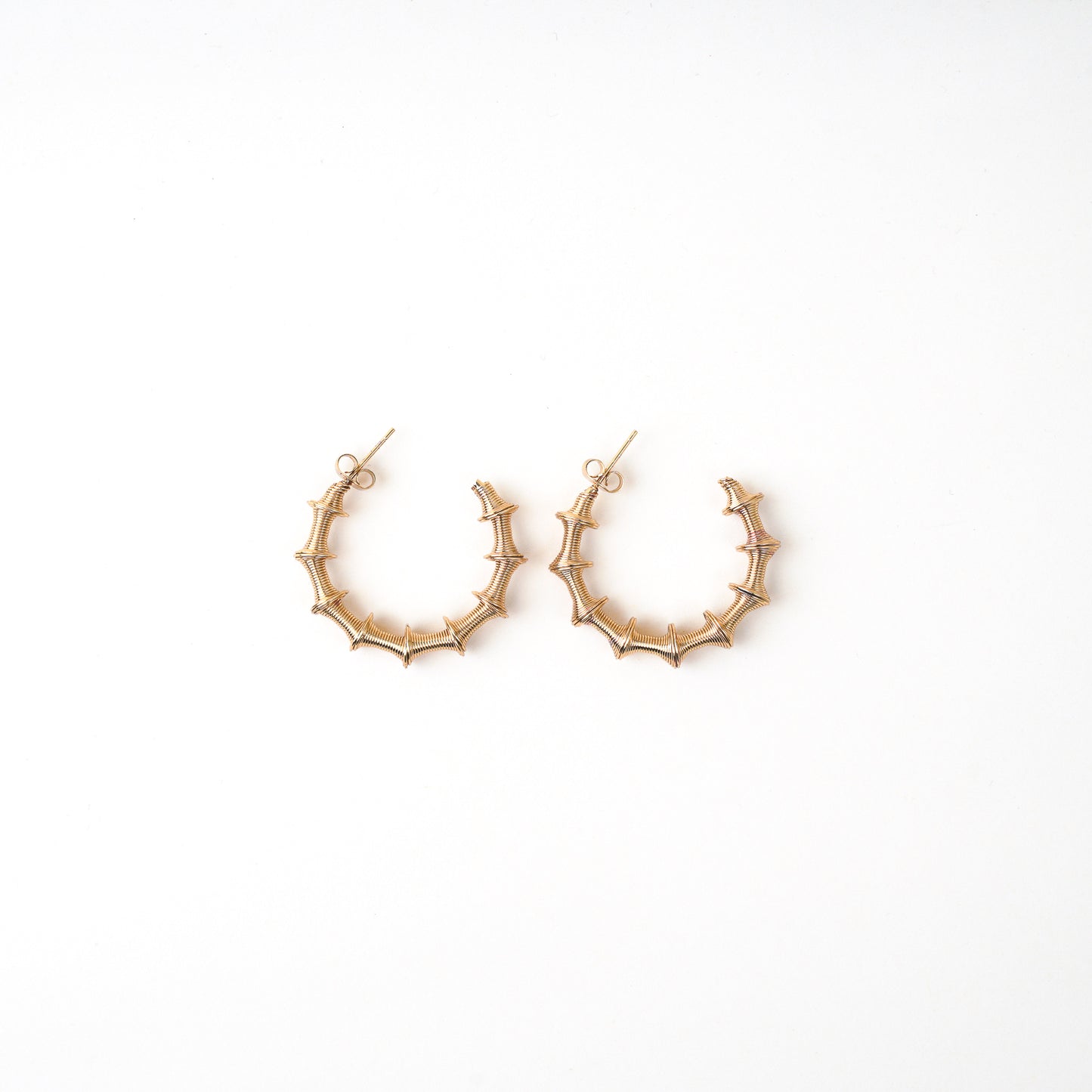 Ava Hoops